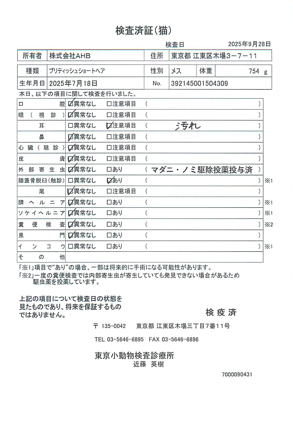 ブリティッシュショートヘア