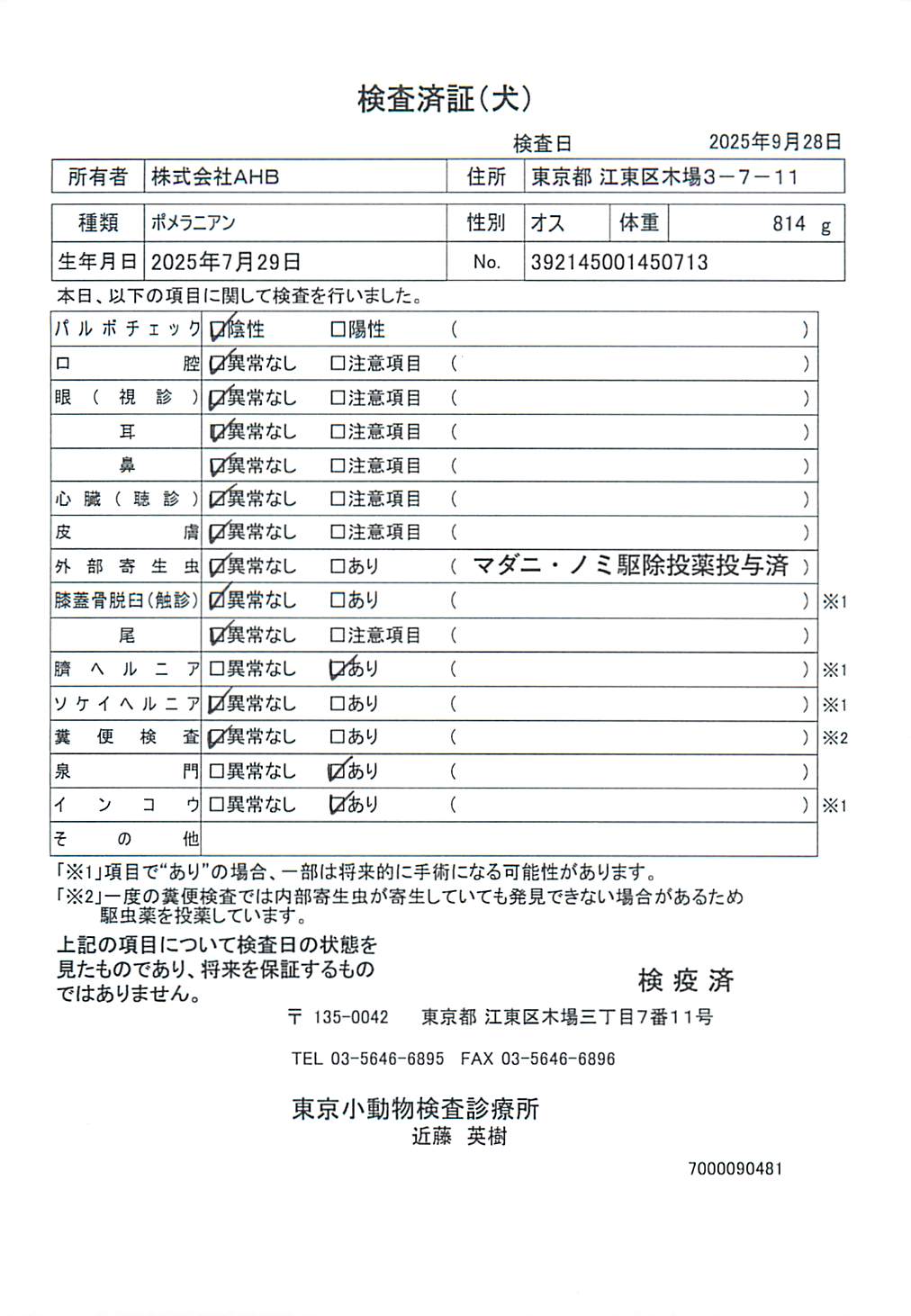 ポメラニアン