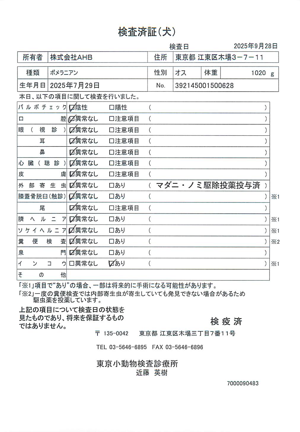 ポメラニアン