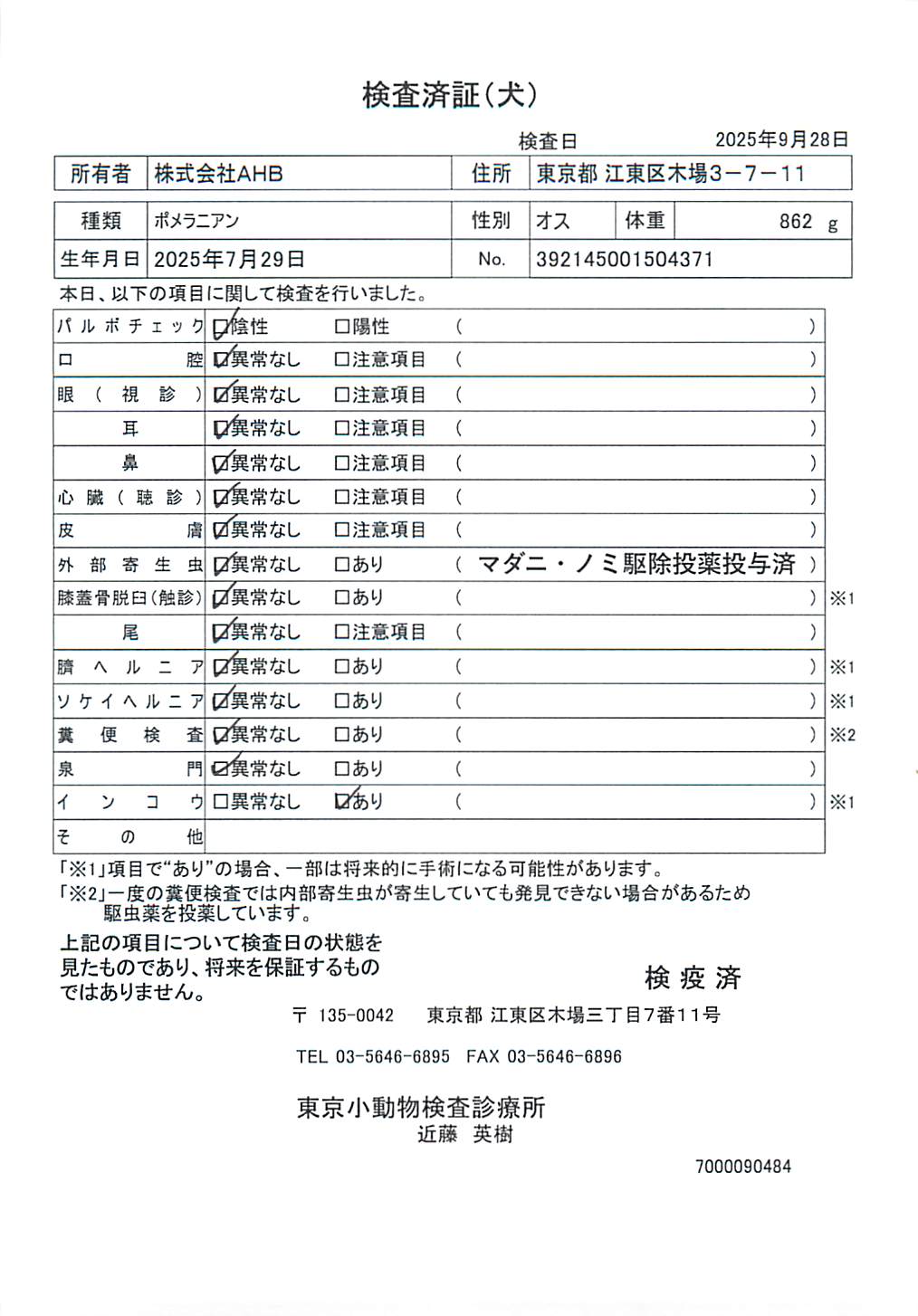 ポメラニアン