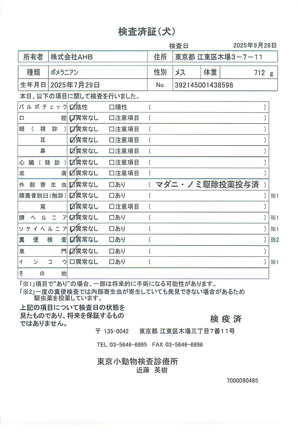 ポメラニアン