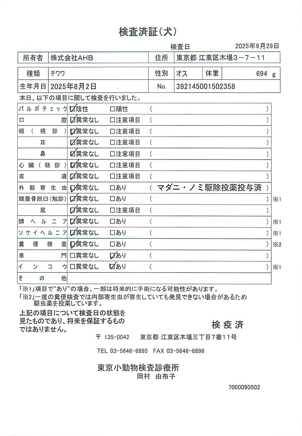 チワワ