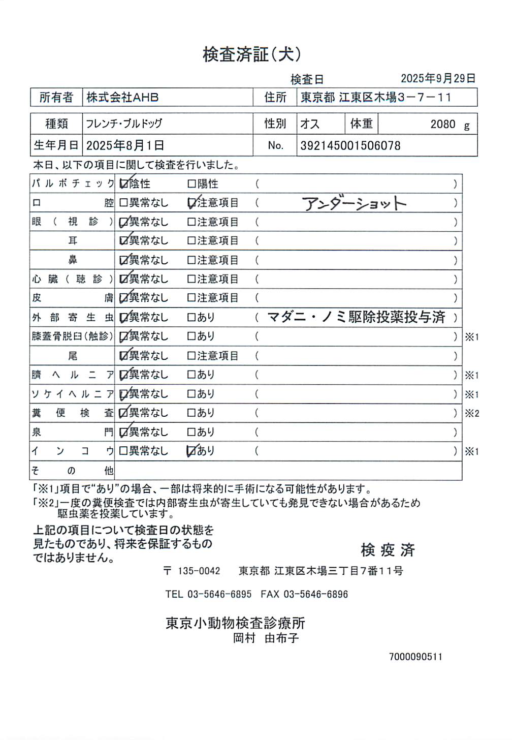 フレンチ・ブルドッグ