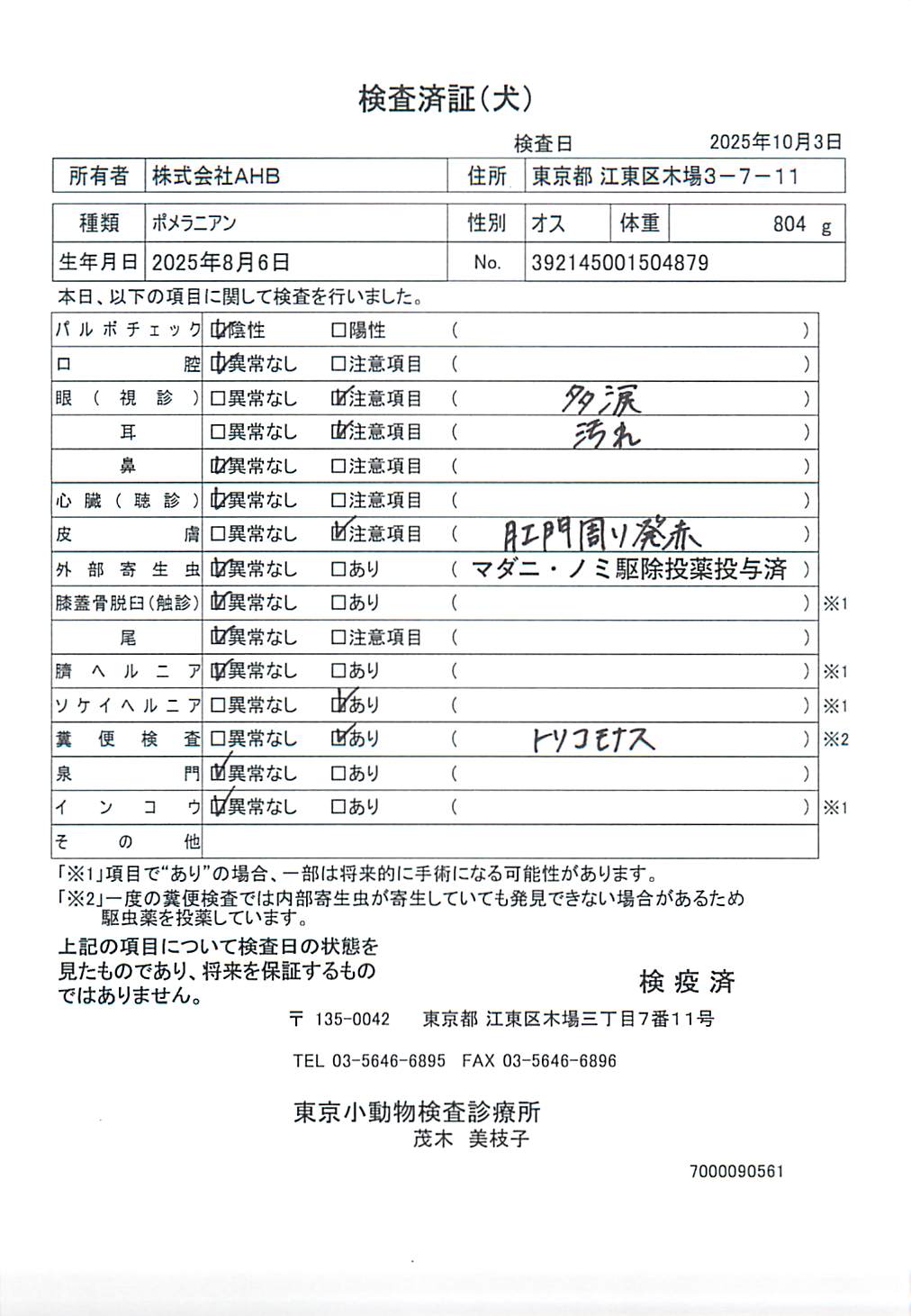 ポメラニアン