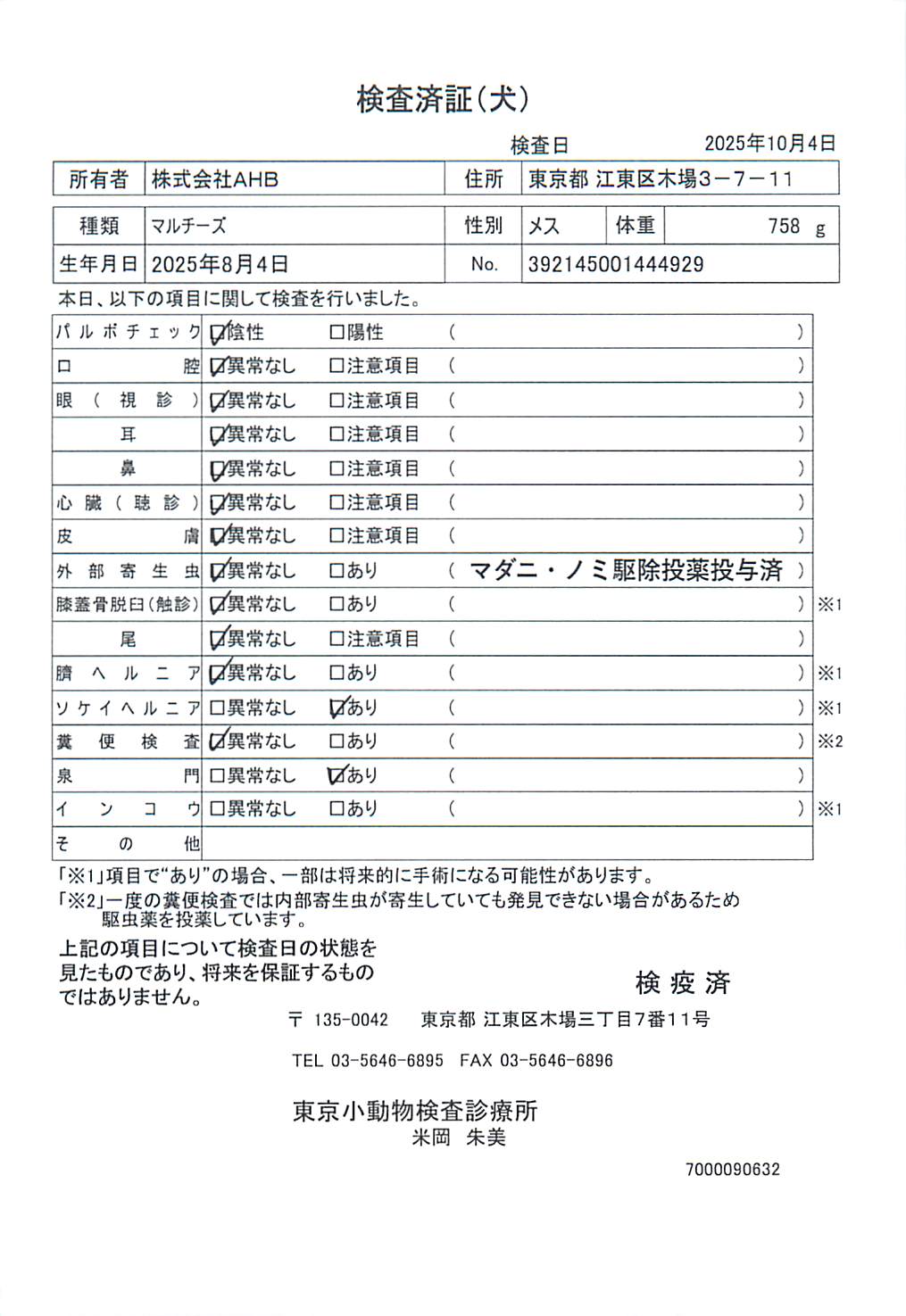 マルチーズ