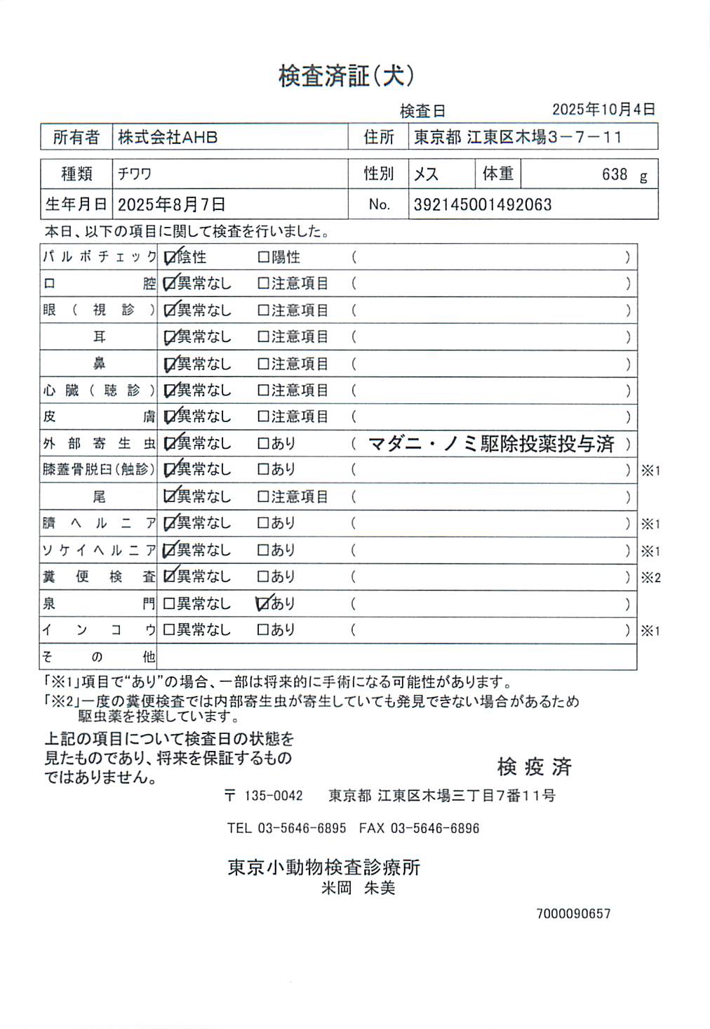 チワワ