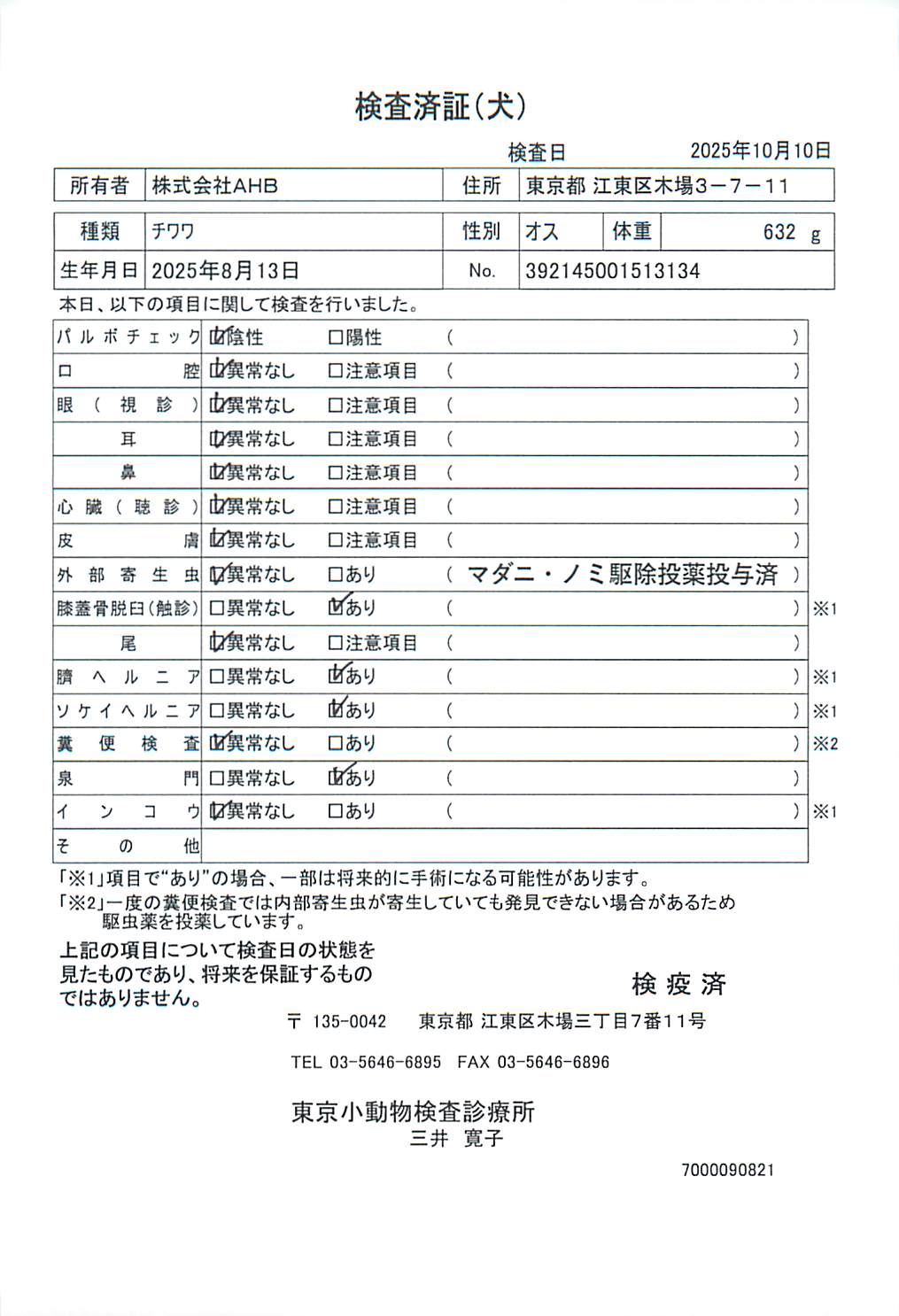 チワワ