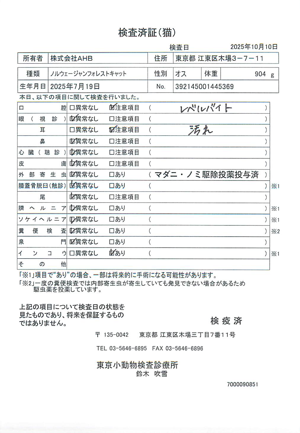 ノルウェージャンフォレストキャット