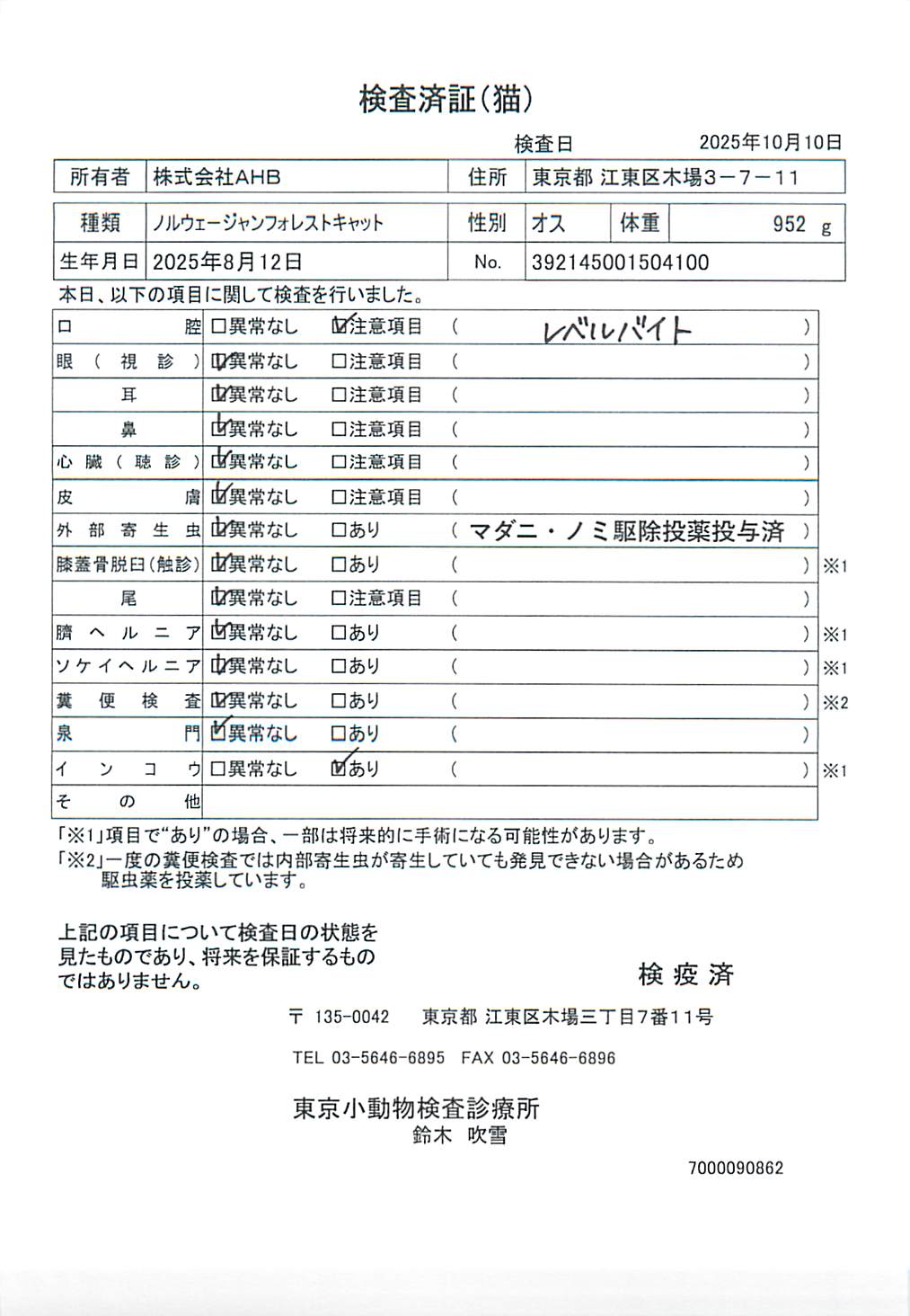 ノルウェージャンフォレストキャット