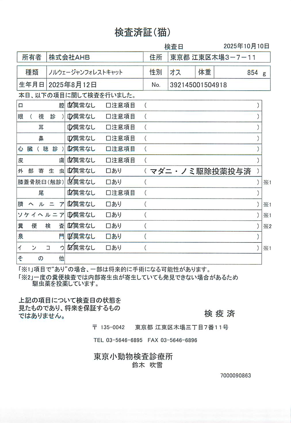 ノルウェージャンフォレストキャット