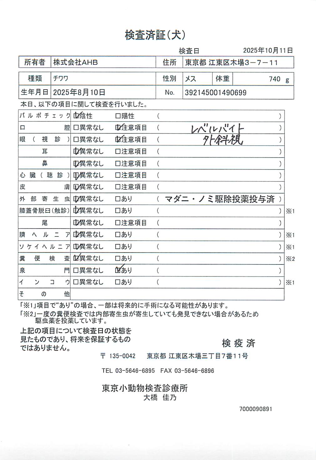 チワワ