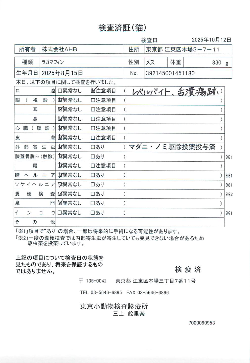 ラガマフィン