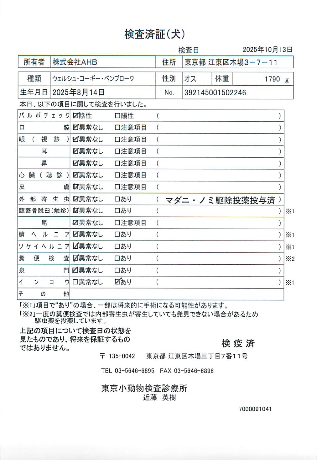 ウェルシュ・コーギー・ペンブローク