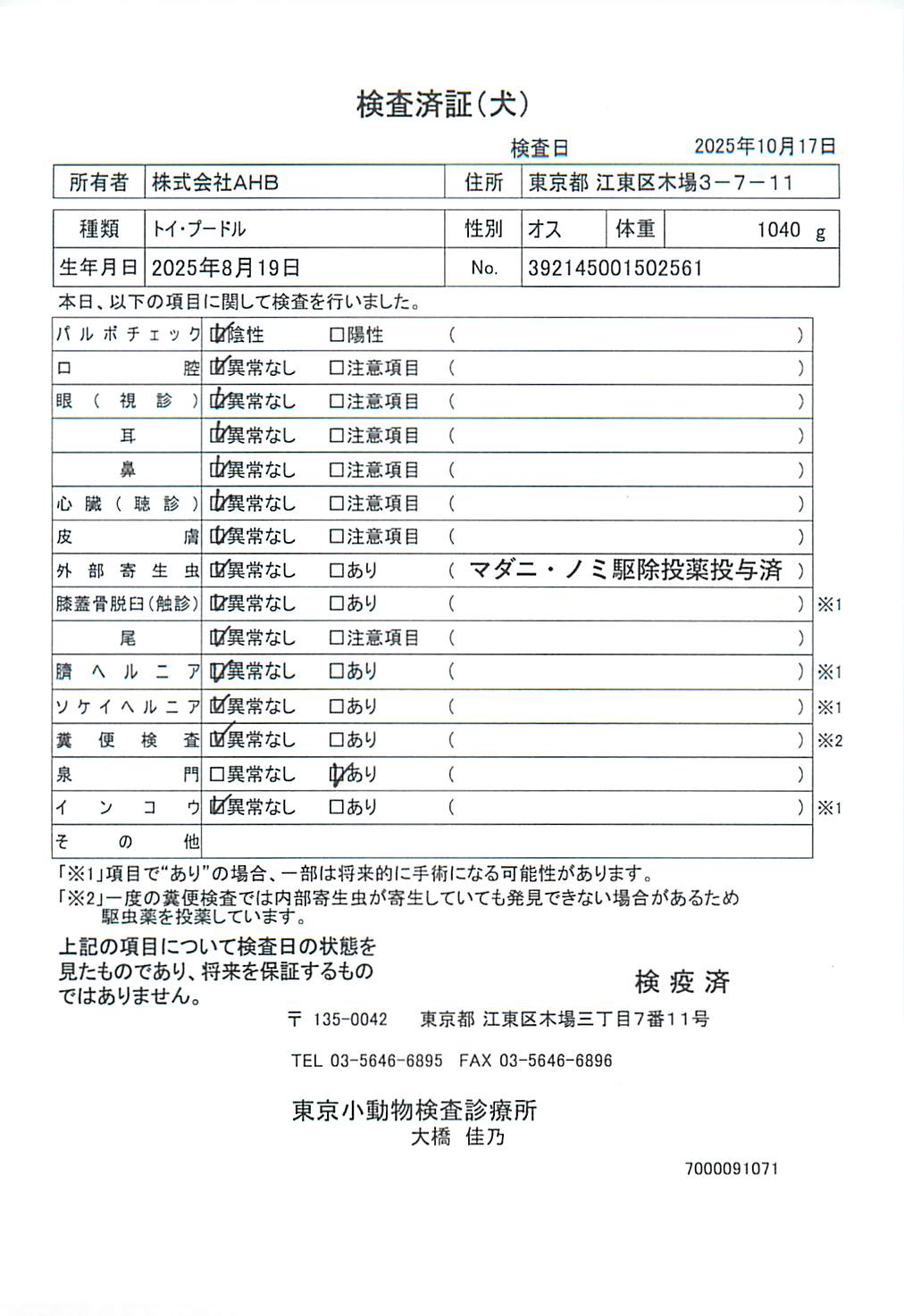 トイ・プードル