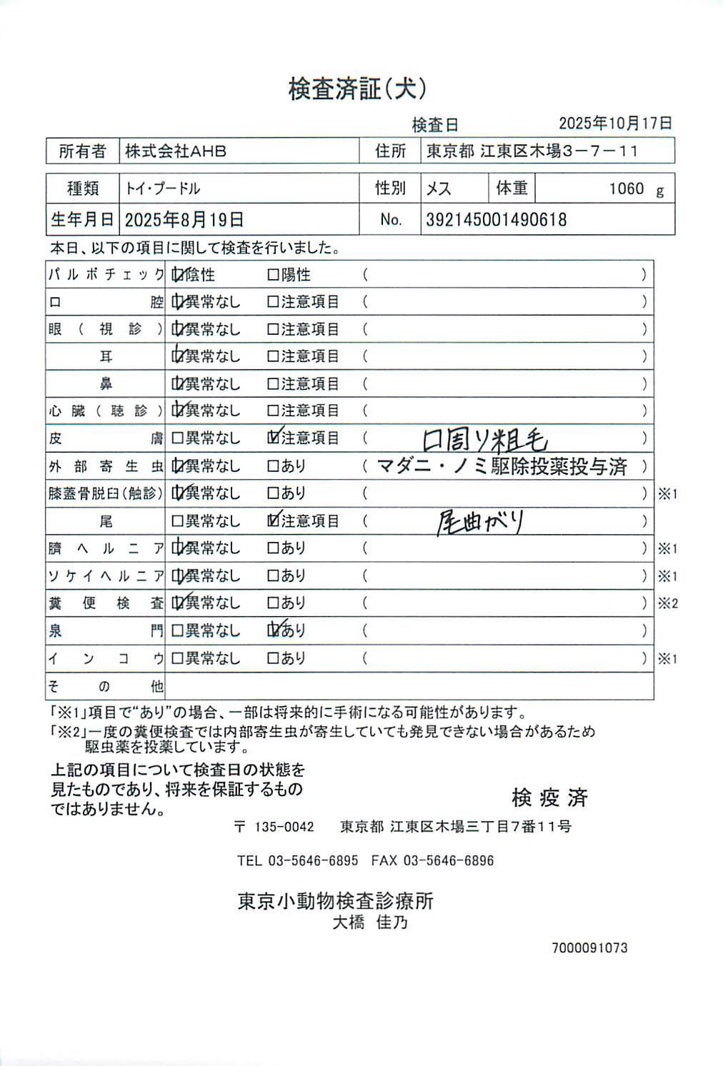 トイ・プードル