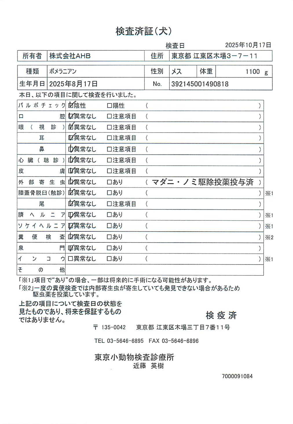 ポメラニアン