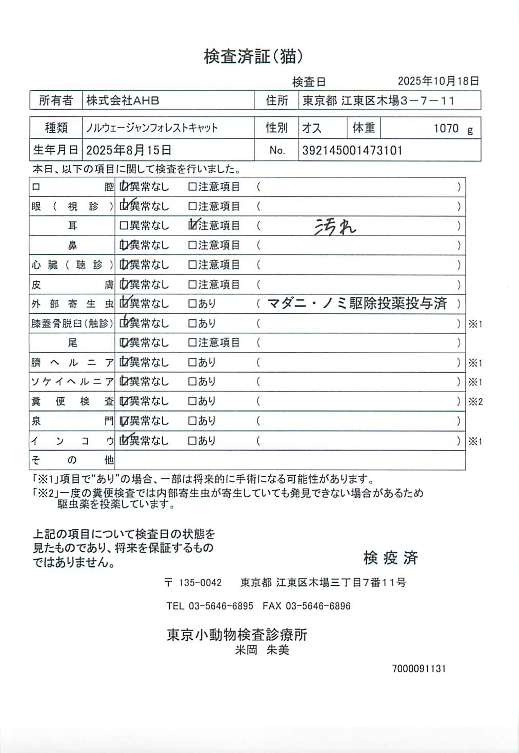 ノルウェージャンフォレストキャット