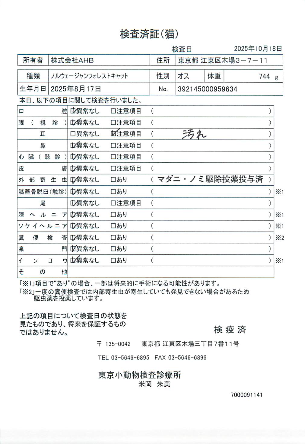 ノルウェージャンフォレストキャット