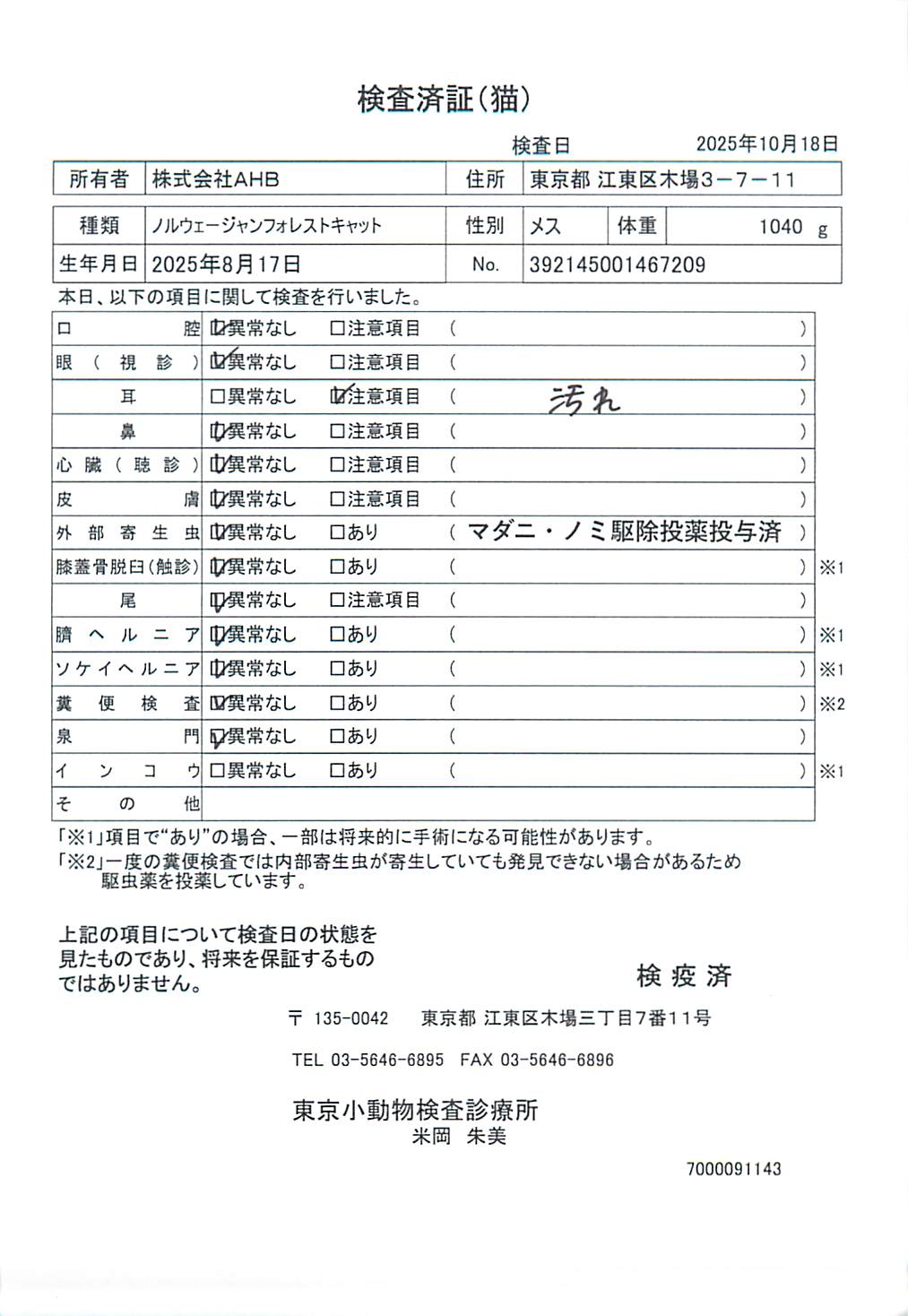 ノルウェージャンフォレストキャット