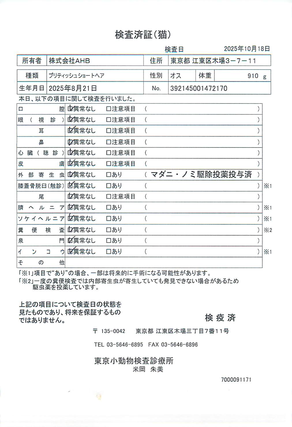 ブリティッシュショートヘア