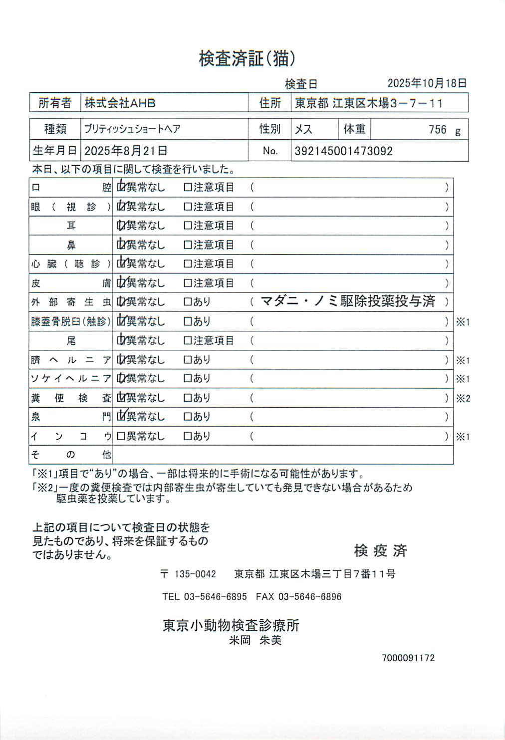 ブリティッシュショートヘア