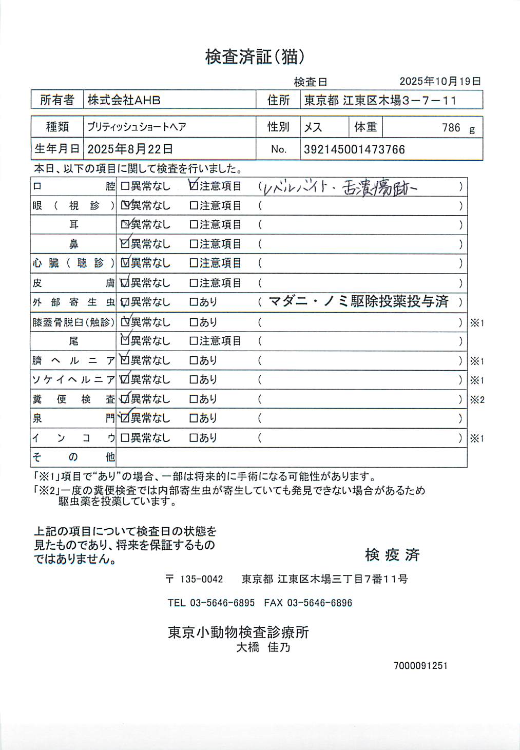 ブリティッシュショートヘア