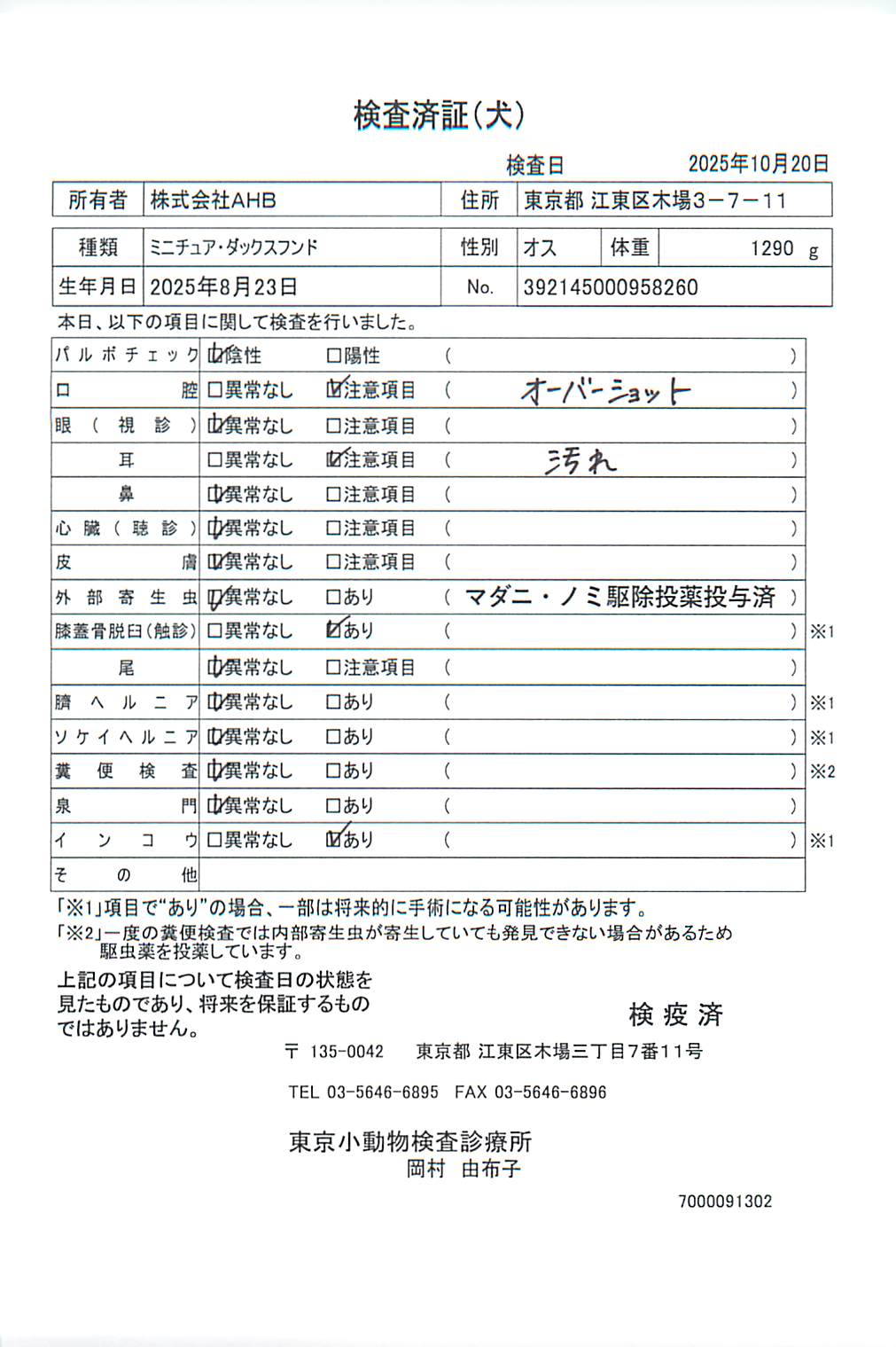 ミニチュア・ダックスフンド