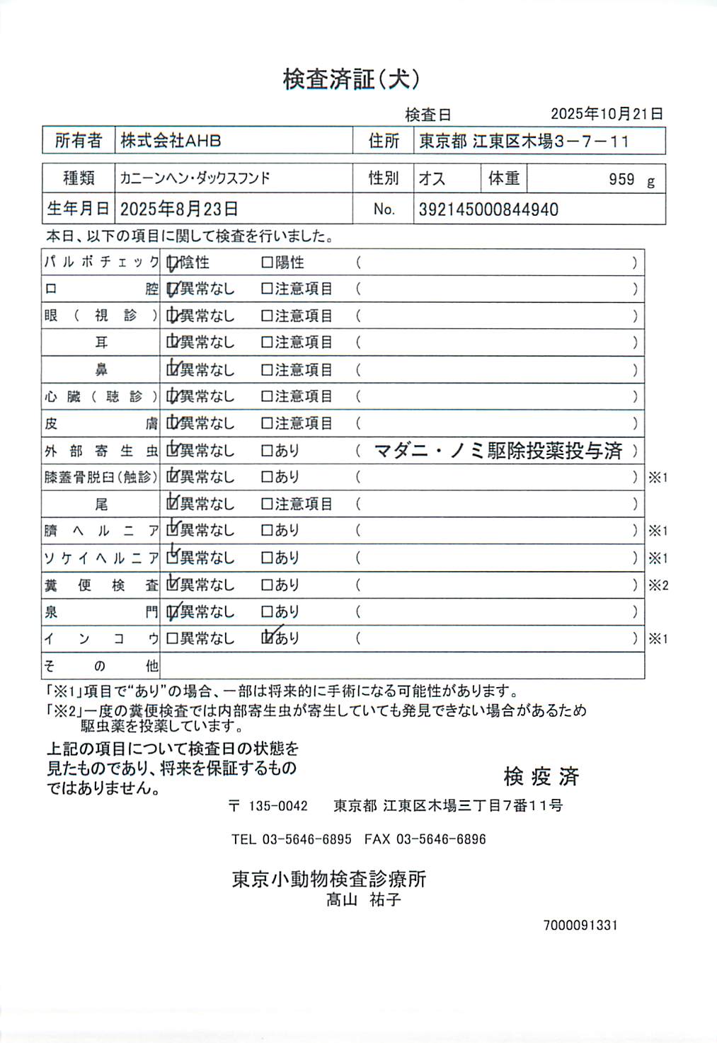 カニーンヘン・ダックスフンド
