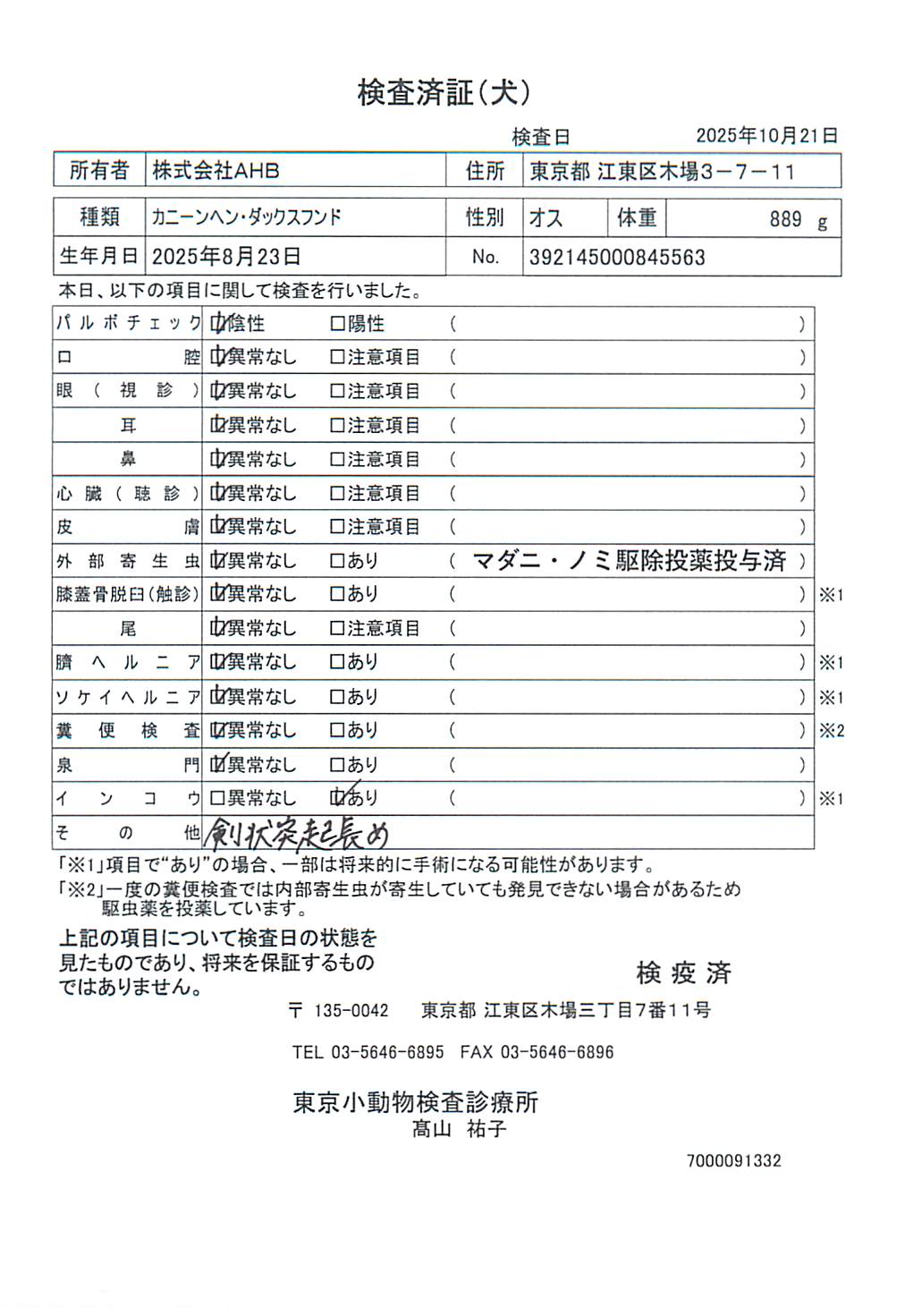 カニーンヘン・ダックスフンド