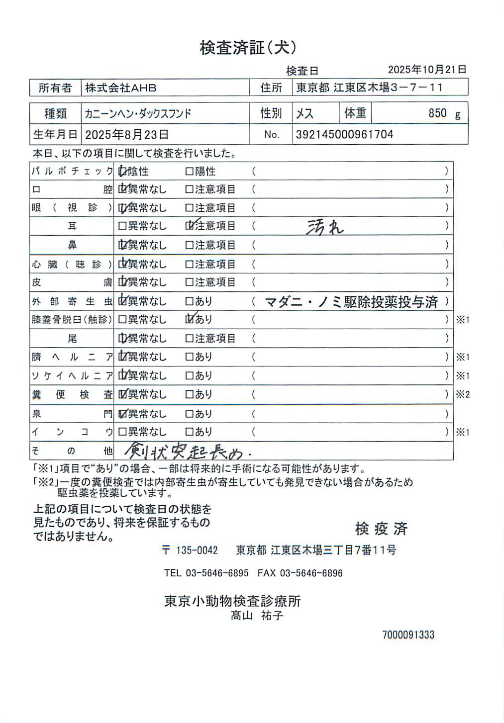 カニーンヘン・ダックスフンド