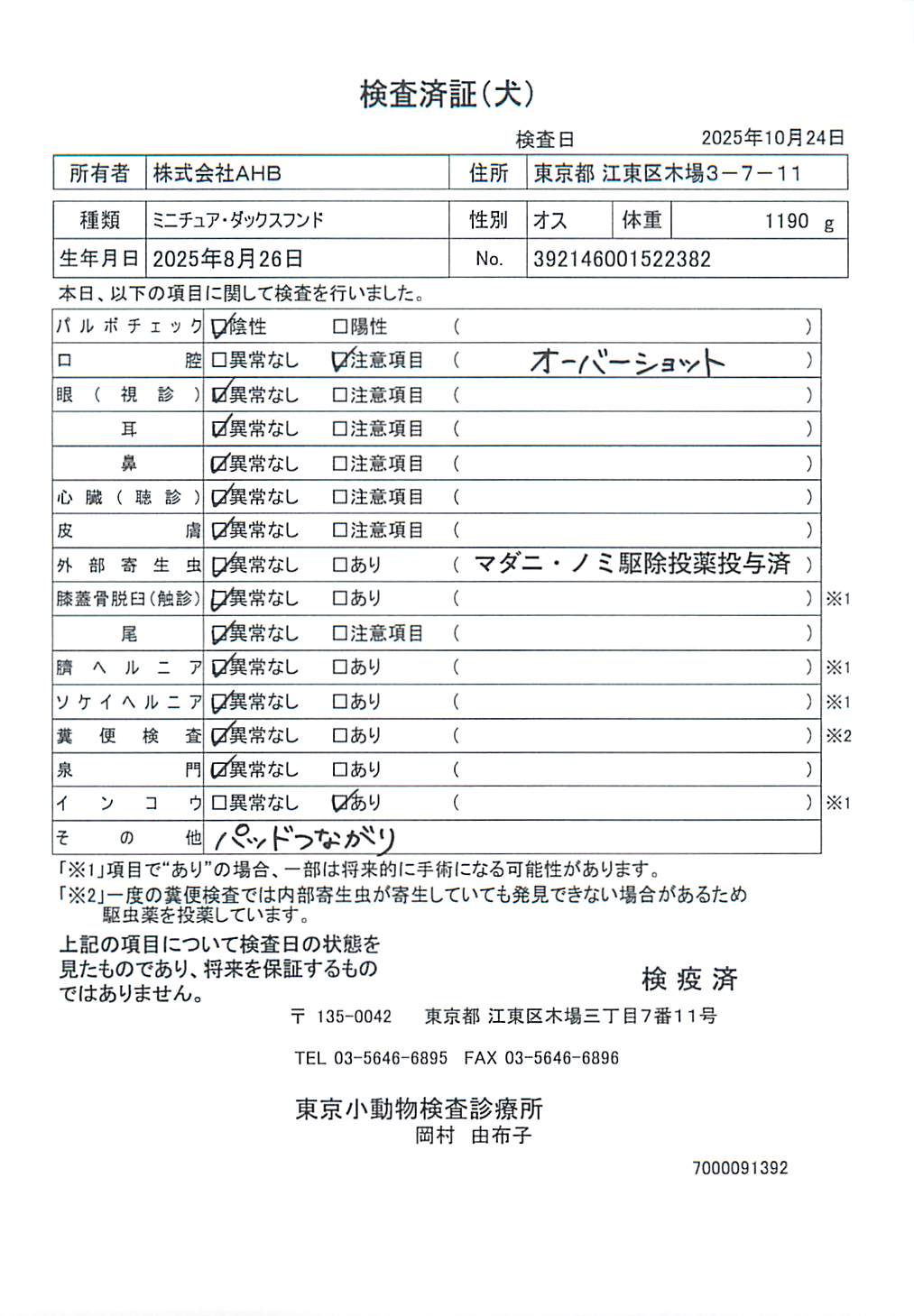 ミニチュア・ダックスフンド