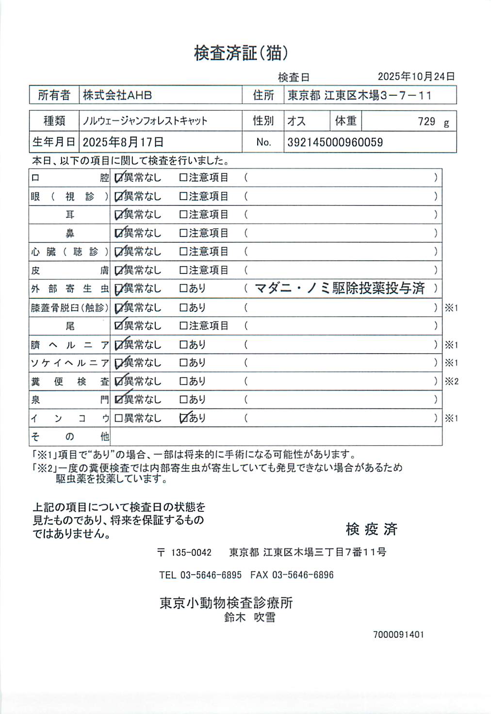 ノルウェージャンフォレストキャット