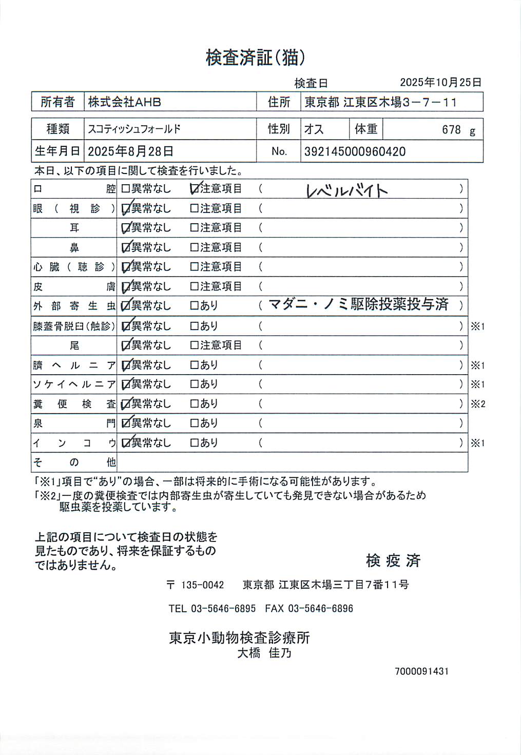 スコティッシュフォールド