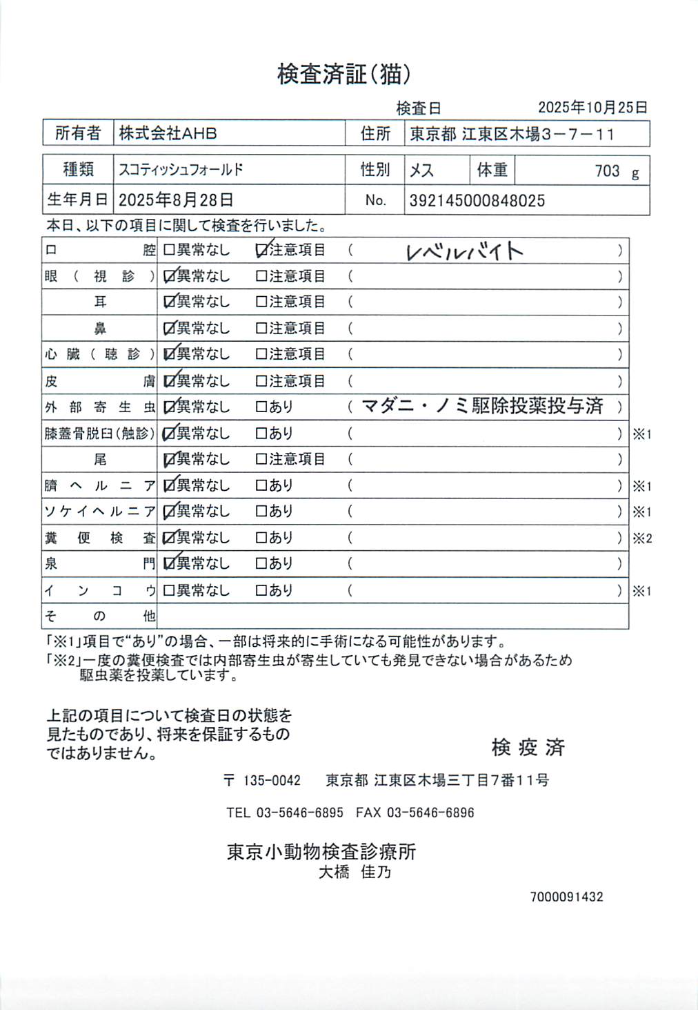 スコティッシュフォールド