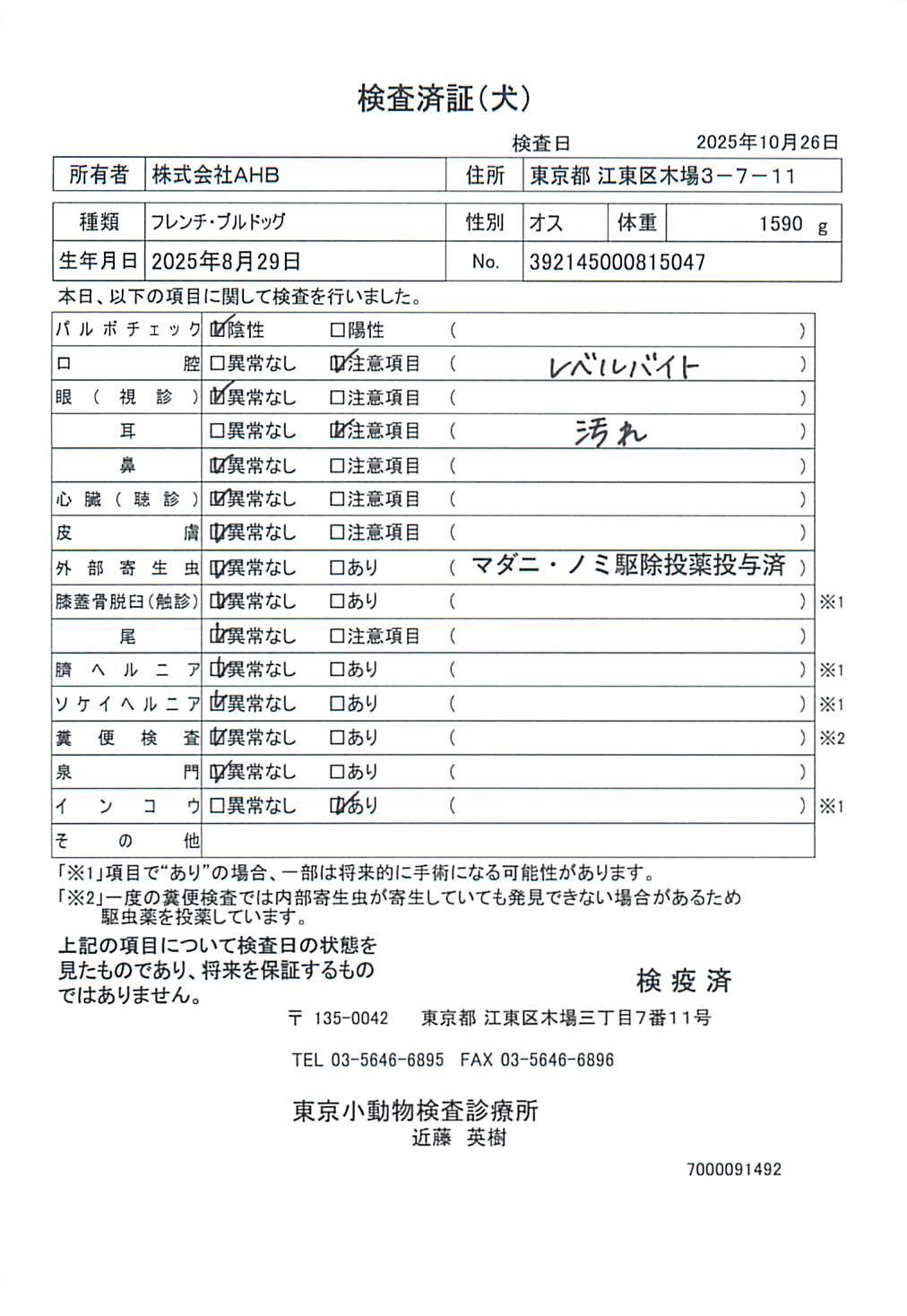 フレンチ・ブルドッグ