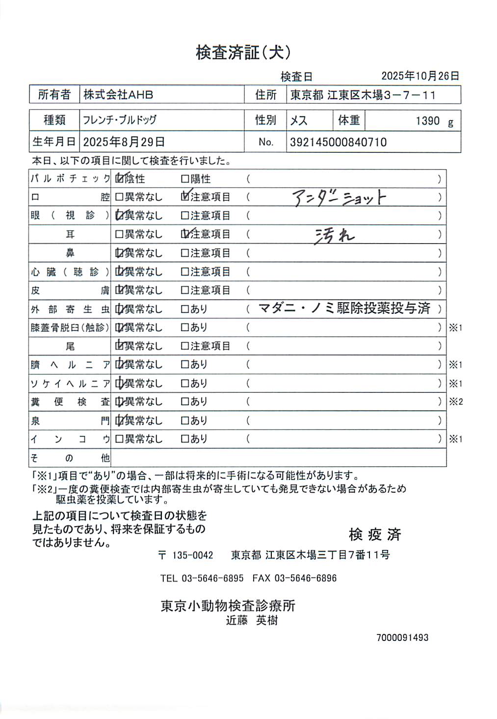 フレンチ・ブルドッグ