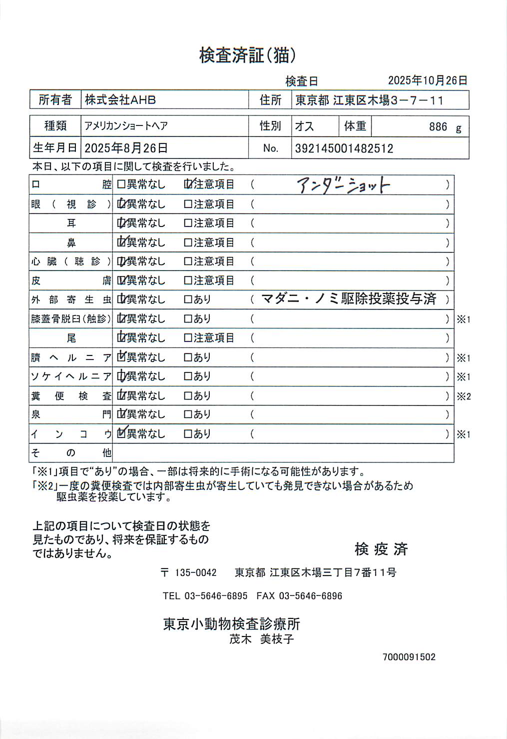 アメリカンショートヘア