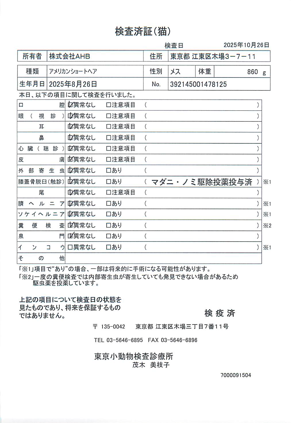 アメリカンショートヘア