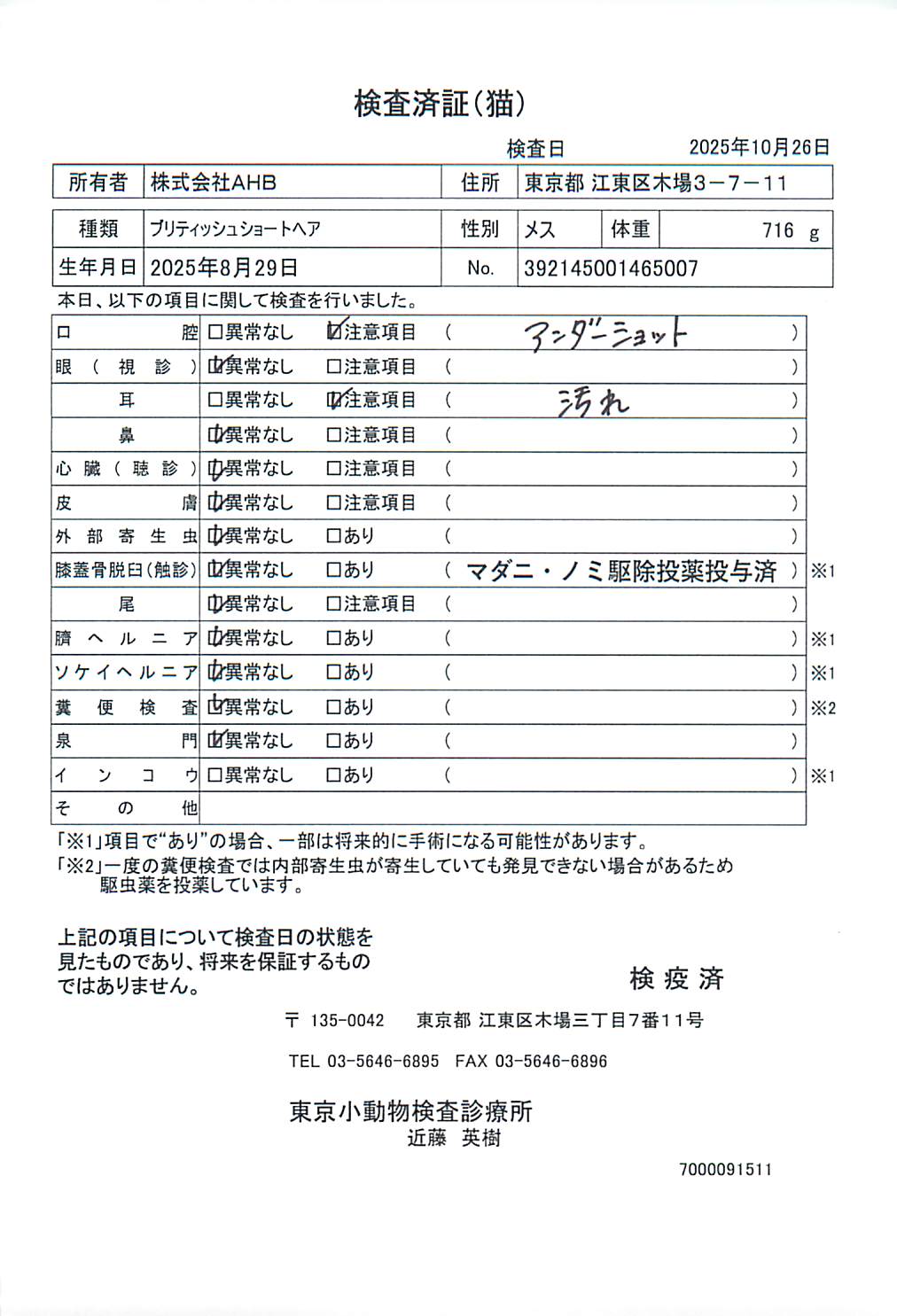 ブリティッシュショートヘア