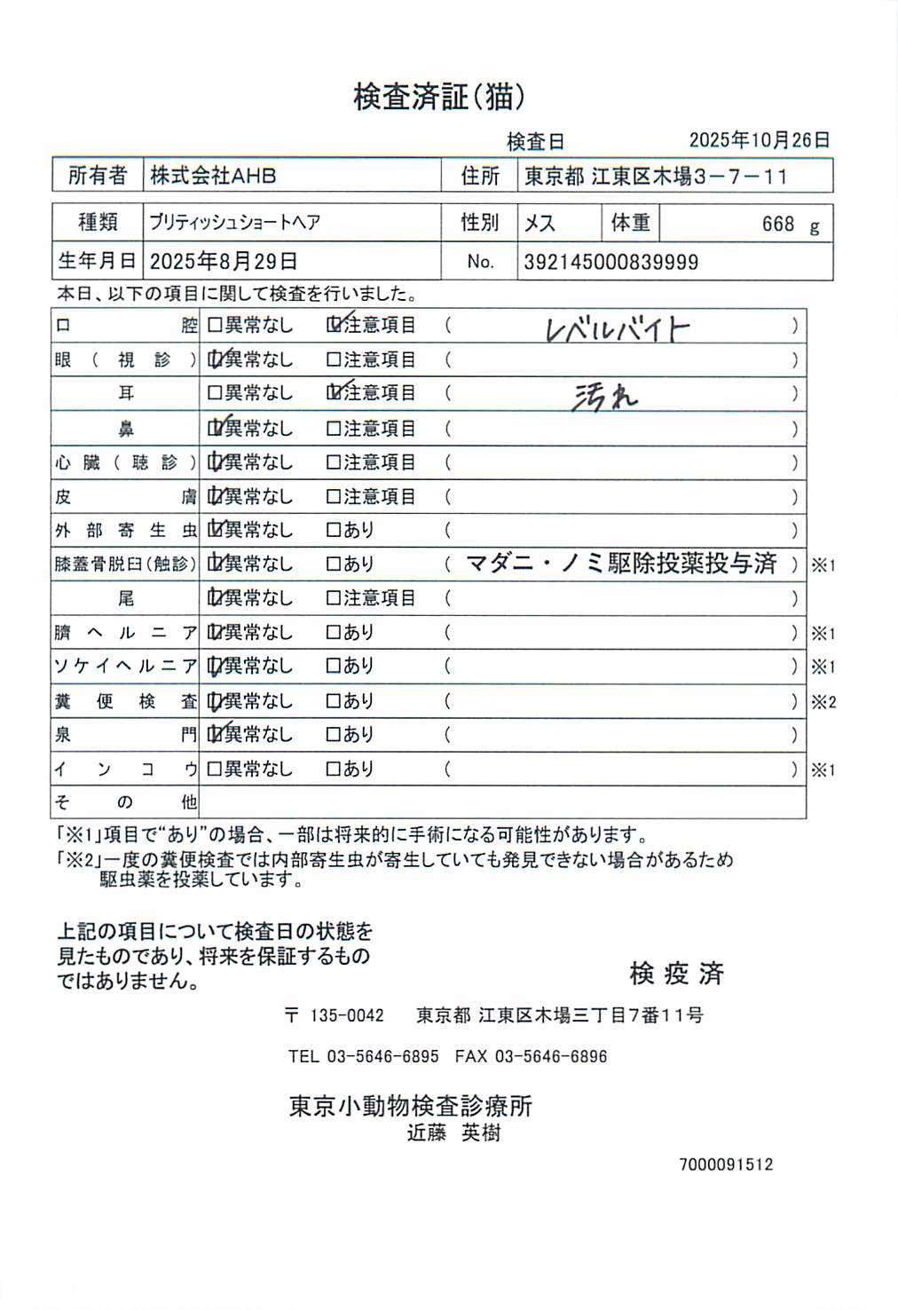 ブリティッシュショートヘア