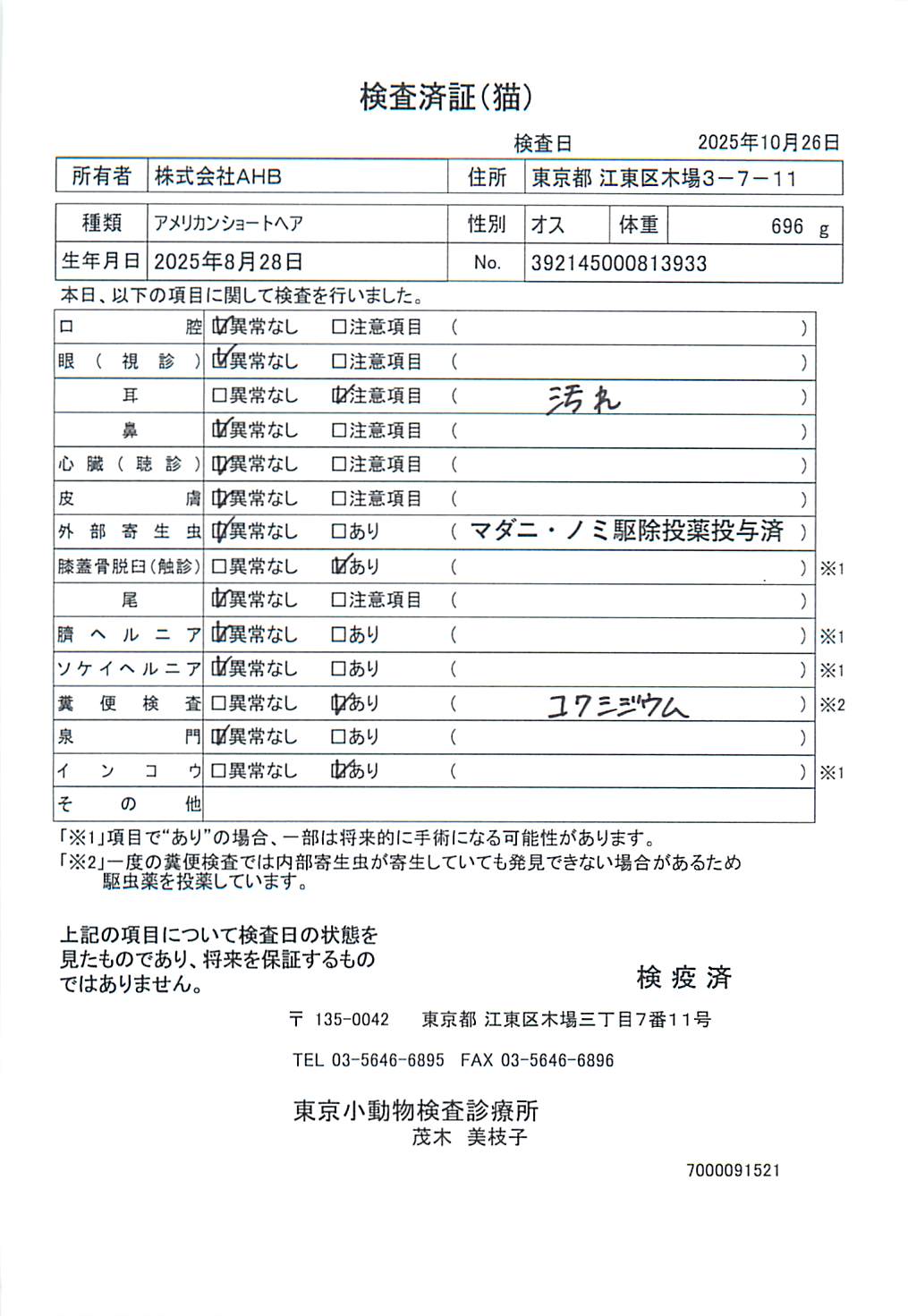 アメリカンショートヘア