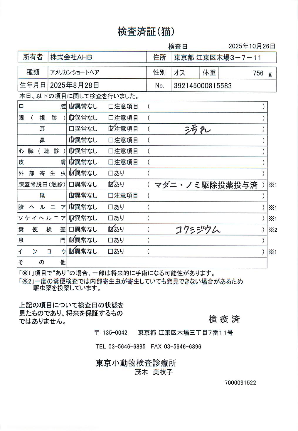 アメリカンショートヘア