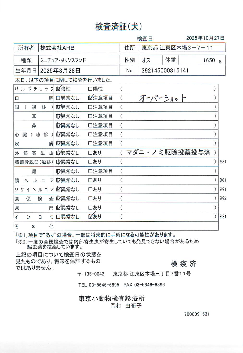 ミニチュア・ダックスフンド