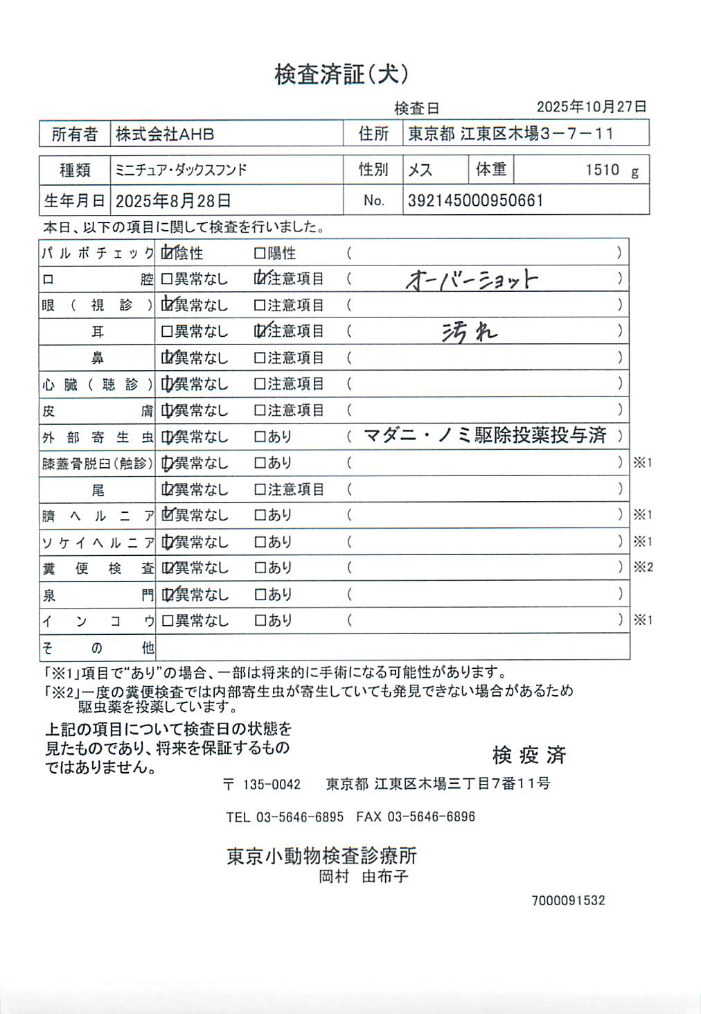 ミニチュア・ダックスフンド