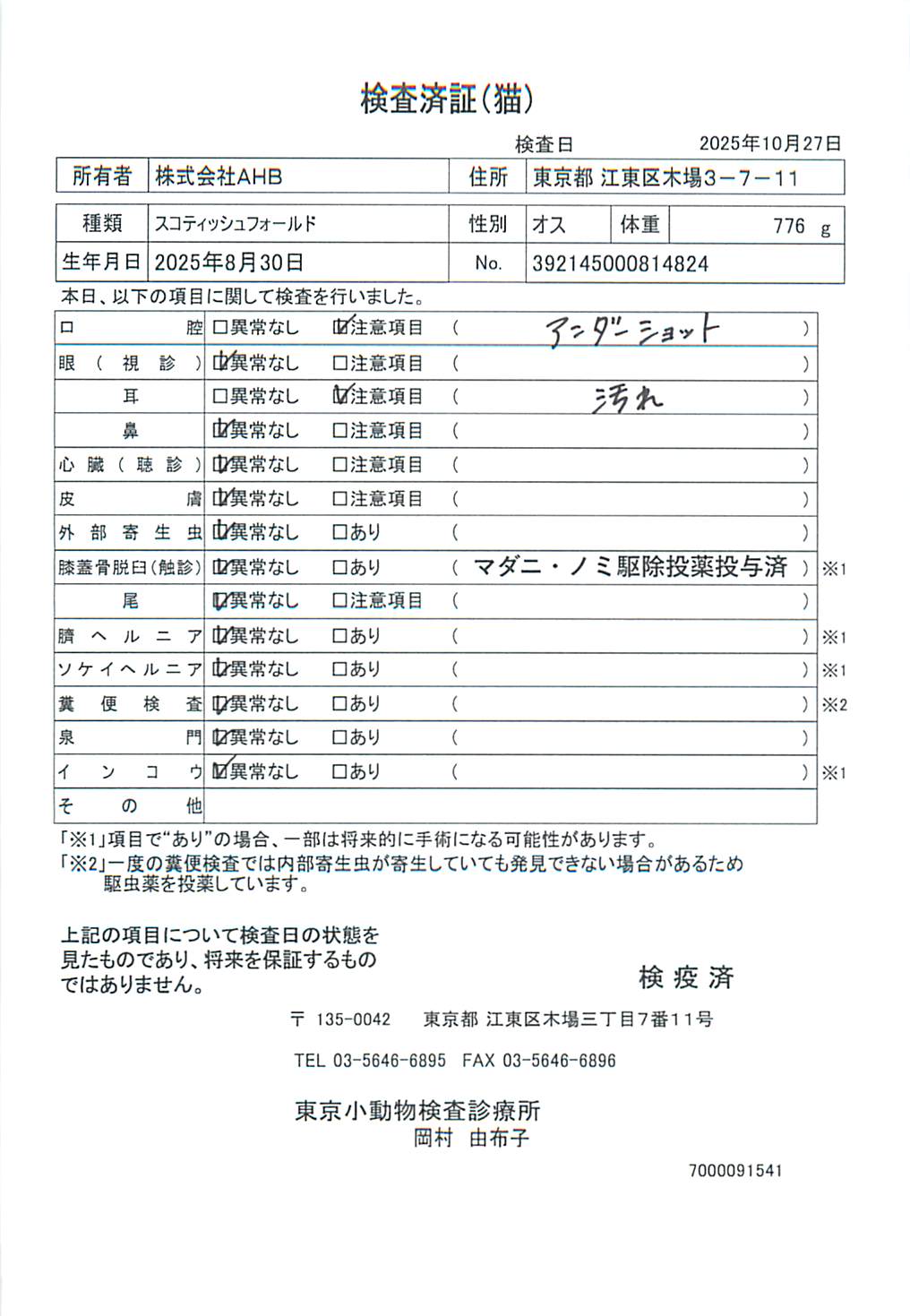 スコティッシュフォールド