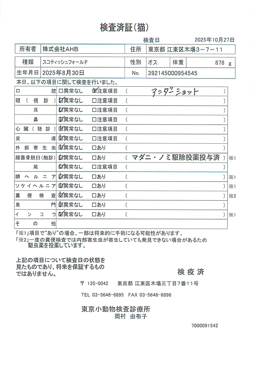 スコティッシュフォールド