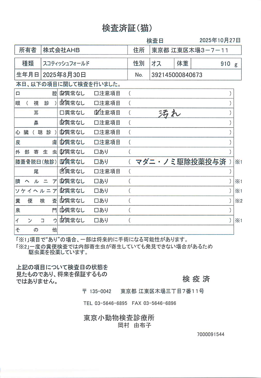 スコティッシュフォールド