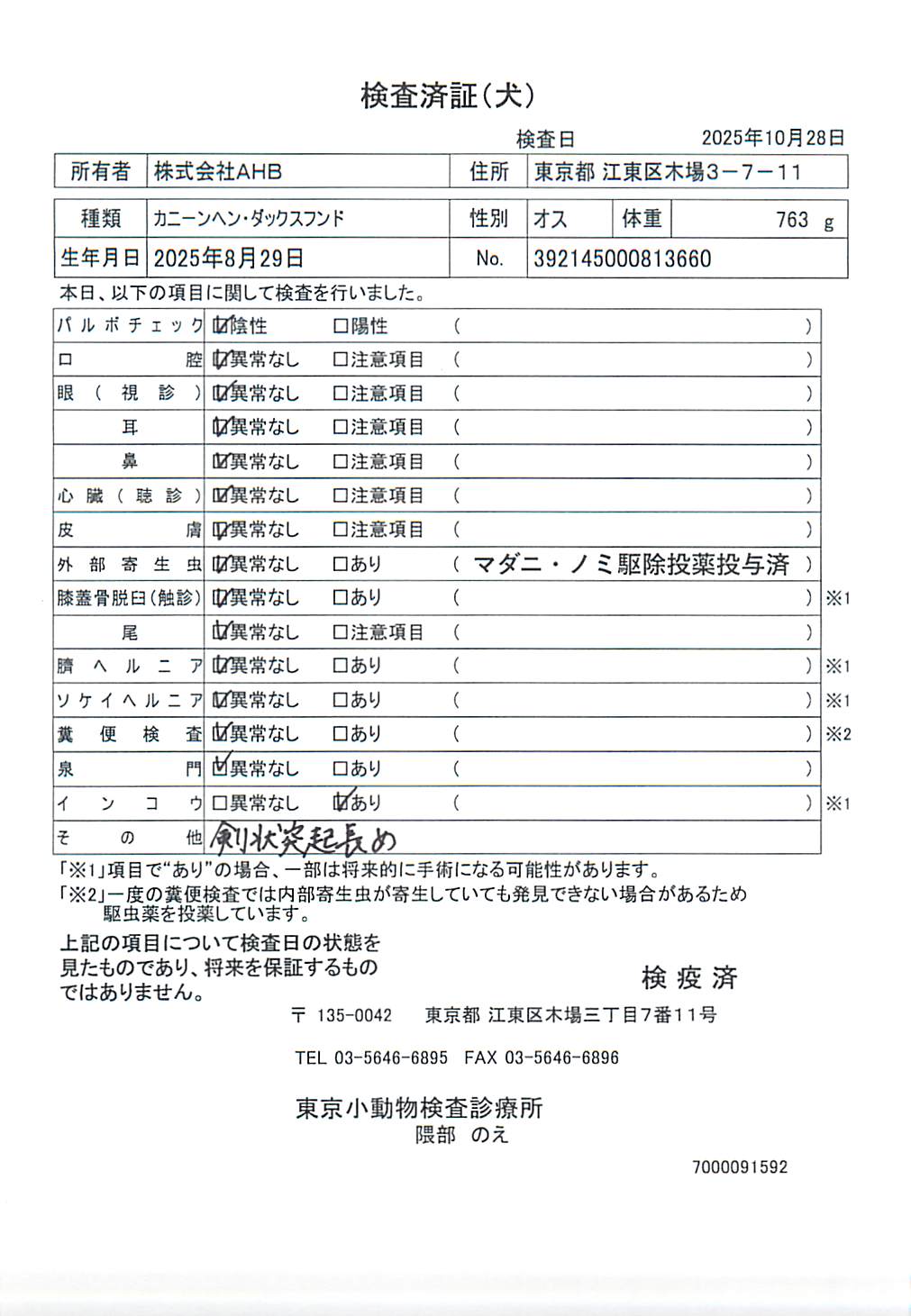 カニーンヘン・ダックスフンド