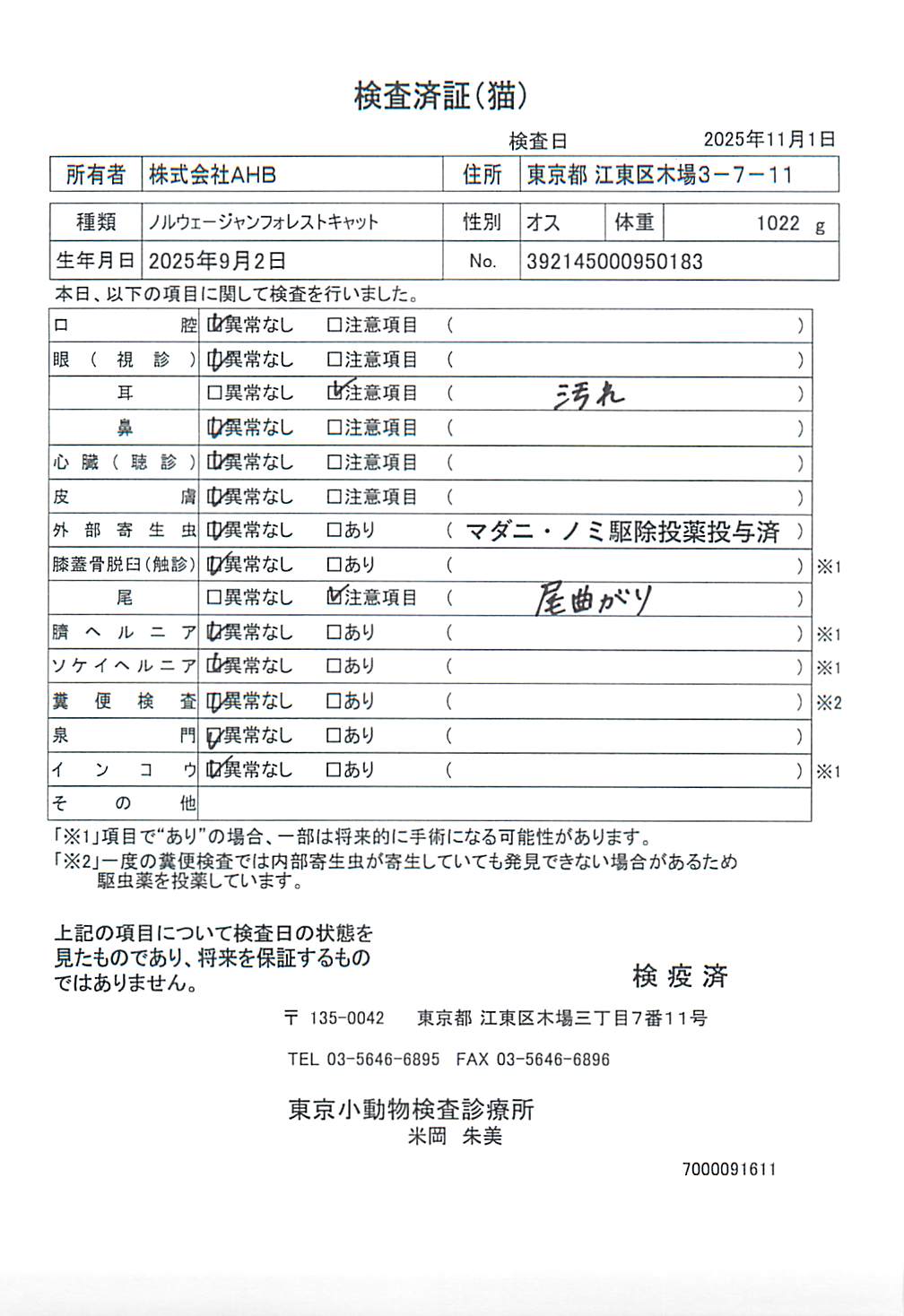 ノルウェージャンフォレストキャット