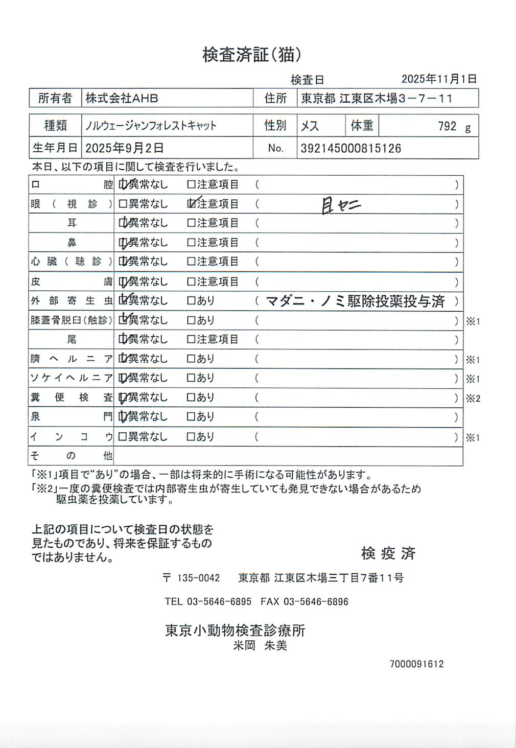 ノルウェージャンフォレストキャット